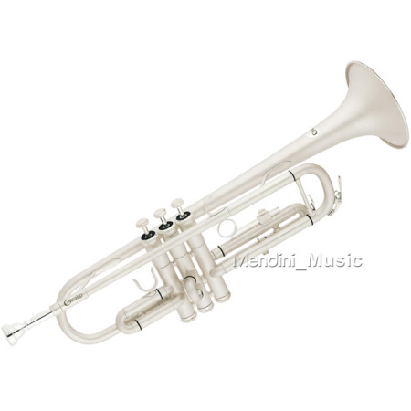 sand blast trumpet