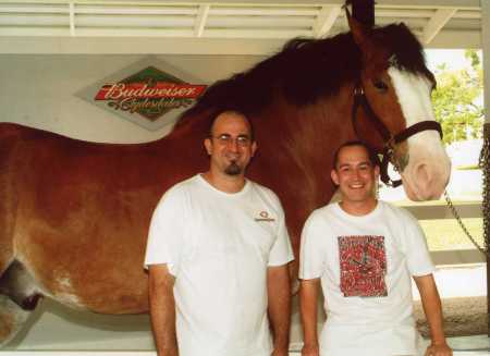 Mike, Bob & Mike (the horse)