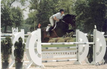 Kentucky Horse park 4 ft jumpers 2006
