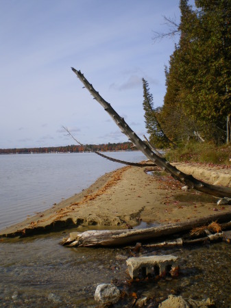 Higgins Lake Shoreline