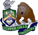 Copper Hills High Class of 96 20 Year Reunion reunion event on Jul 1, 2016 image