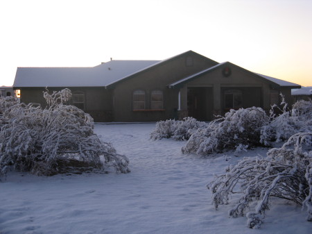 snowstorm of 2008 014