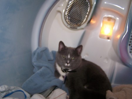 my dryer baby