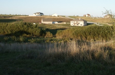 Back of our acreage