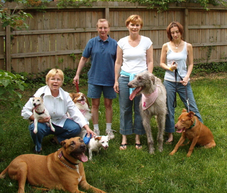 The Sisters and Family Canines