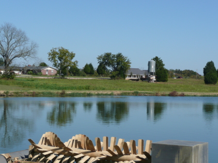 Catfish Farm