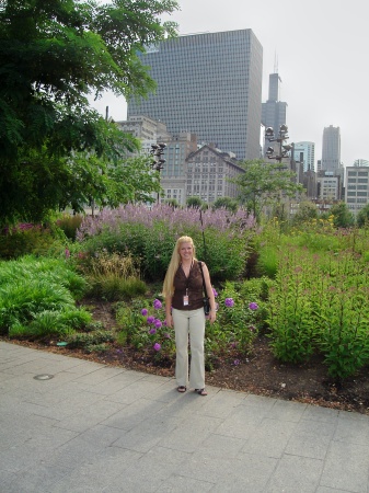 Millenium Park Garden, Chicago