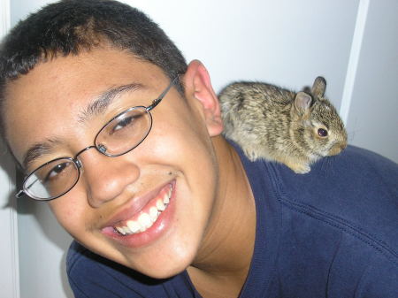 My 15 year old & a wild rabbit