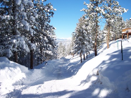 Colorado Winter Wonderland