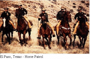 Border Patrol Horse Patrol
