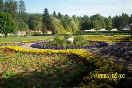 Garden area