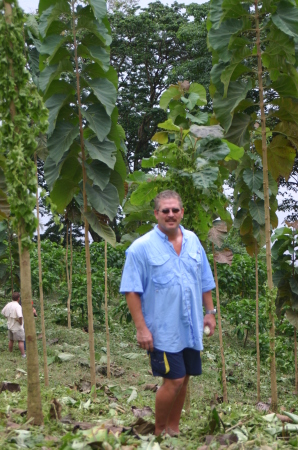 My Tree Farm in Panama