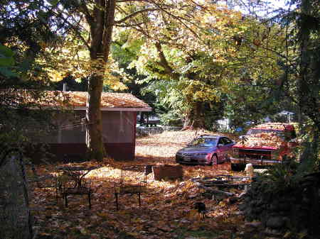 RV Site on Hood Canal