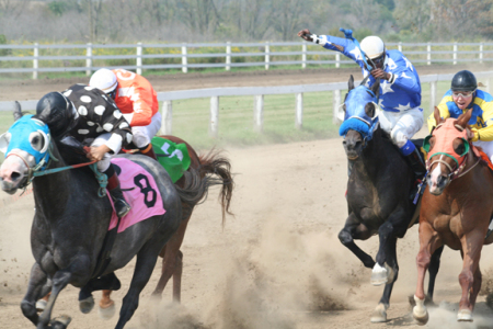 Ajax Downs - Quarter Horse Racing