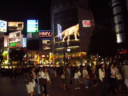 Tokyo-Shinjuko District