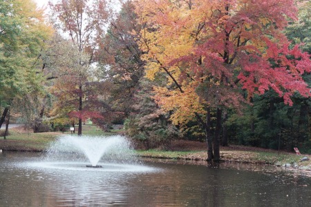 The fountain at Curtis Arboreatum