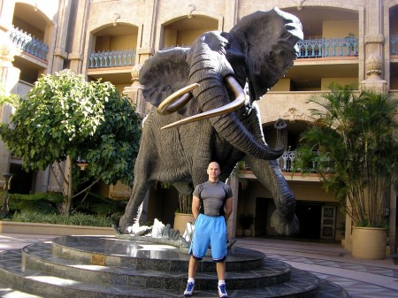 Me and a big stuffed elephant in South Africa