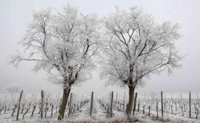 Winter Road