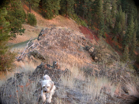 Dakota up Nut Basin 2006