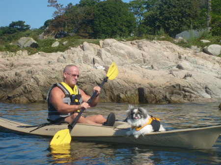 dog paddle