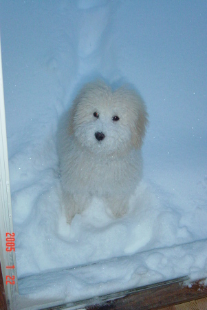 Boston says "Why did you move to Chicago, snow