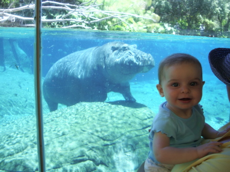 Gabby at the San Diego Zoo