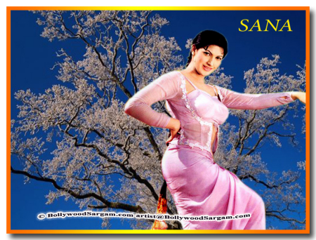 sana_lollywood_actress_wallpapers_0219_54_27