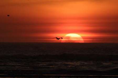 Longbeach Sunset