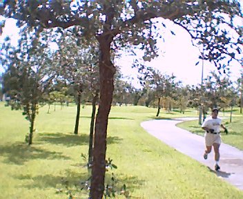 JOeD - JoeDiB :  At the Park Preserve  ..running.....