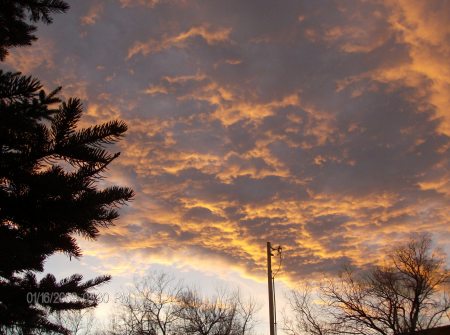 Montana sky