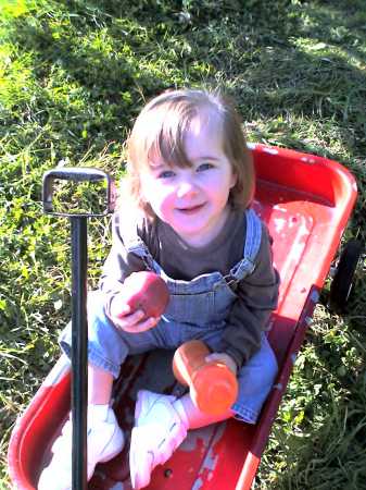 Apple Picking 2008