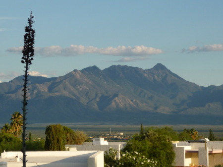 The Santa Rita Mountains