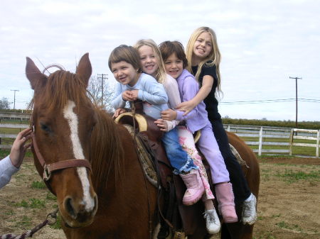 Ride-m-cowgirls