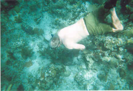 snorkeling in the Carribean