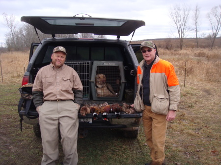 Pheasant  hunting