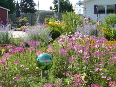 a little of the backyard gardens