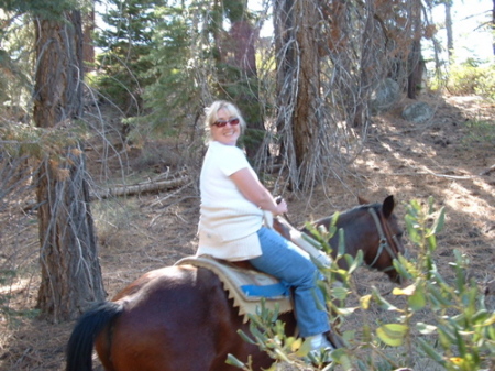 Horsback Riding in Tahoe
