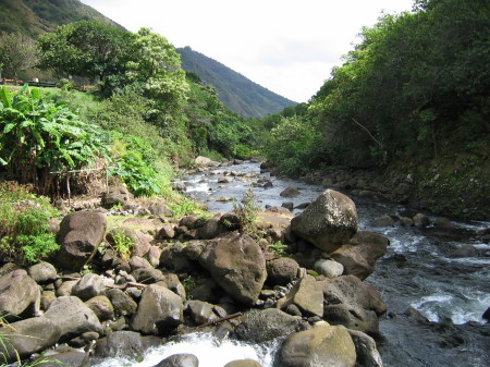 Iao Valley, Maui