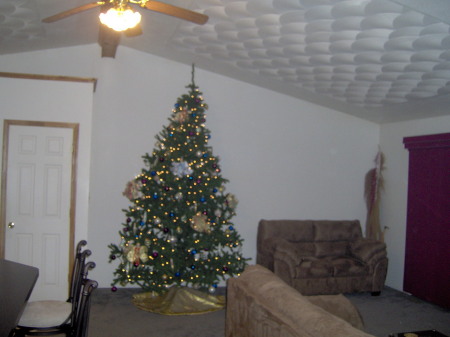 christmas tree 2008 -1