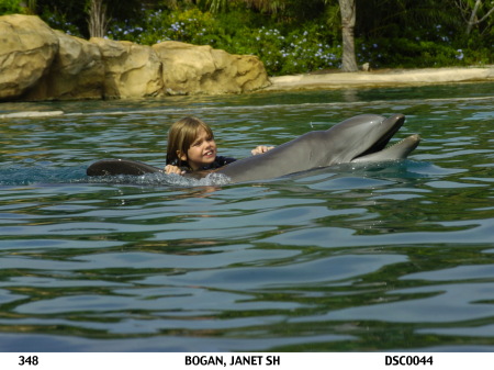 Kealy - Discovery Cove 2005
