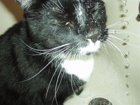 Sweetie in the tub