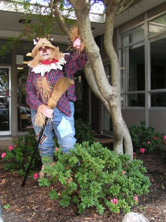 Scarecrow October 2008