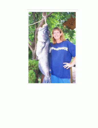 Me I caught this 31 lb. cat fish.