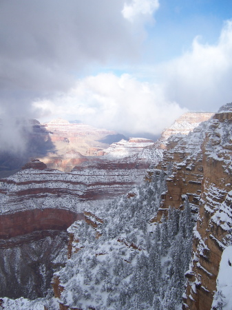 Blizzard at Grand Canyon March 2006