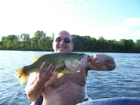 Fun to catch - Bass