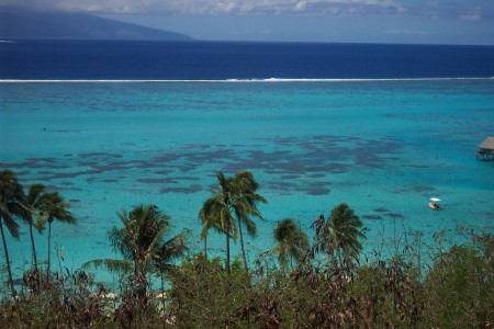 4 shades of blue