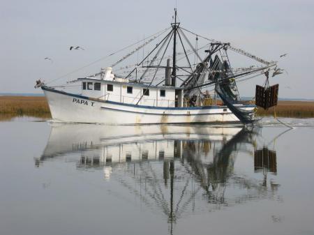 My Neighbors Boat