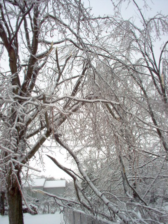 Storm damage