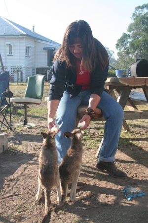 Feeding Lily and Poppy