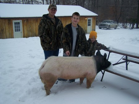 Our pig Dixie with our boys